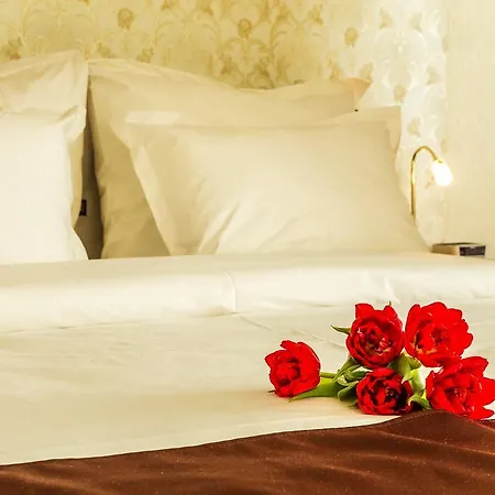Studio Sofia Apartment *
